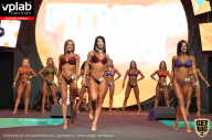 SN PRO EXPO - 2019