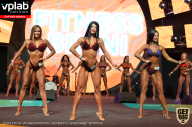 SN PRO EXPO - 2019