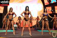 SN PRO EXPO - 2019