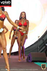 SN PRO EXPO - 2019