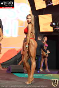 SN PRO EXPO - 2019