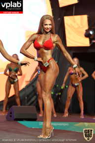SN PRO EXPO - 2019