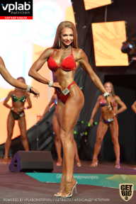 SN PRO EXPO - 2019