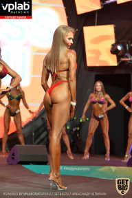 SN PRO EXPO - 2019