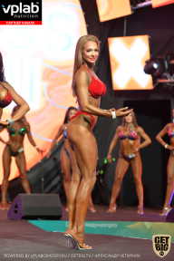 SN PRO EXPO - 2019