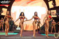 SN PRO EXPO - 2019