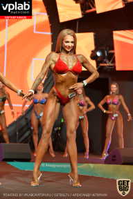 SN PRO EXPO - 2019