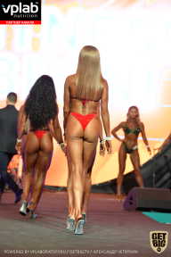 SN PRO EXPO - 2019