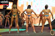 SN PRO EXPO - 2019