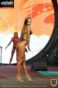 SN PRO EXPO - 2019