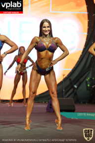 SN PRO EXPO - 2019