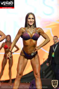 SN PRO EXPO - 2019