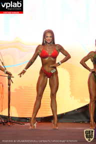 SN PRO EXPO - 2019