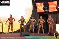 SN PRO EXPO - 2019