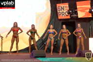 SN PRO EXPO - 2019