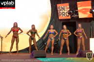SN PRO EXPO - 2019