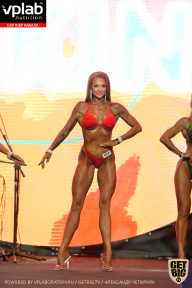 SN PRO EXPO - 2019