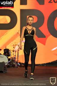 SN PRO EXPO - 2019