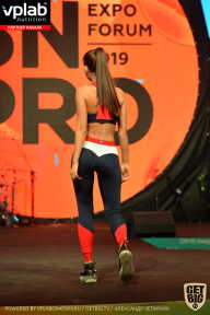 SN PRO EXPO - 2019