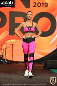 SN PRO EXPO - 2019