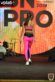 SN PRO EXPO - 2019