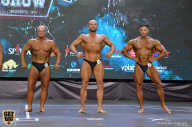 Siberian Power Show - 2019