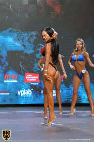 Siberian Power Show - 2019