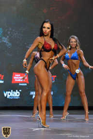 Siberian Power Show - 2019