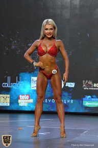 Siberian Power Show - 2019