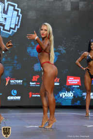 Siberian Power Show - 2019