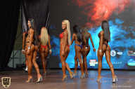 Siberian Power Show - 2019