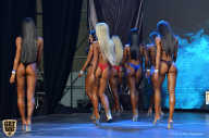 Siberian Power Show - 2019