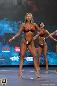Siberian Power Show - 2019