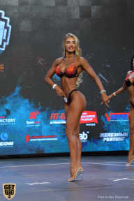 Siberian Power Show - 2019