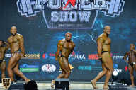 Siberian Power Show - 2019