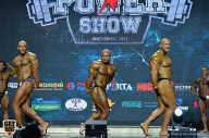 Siberian Power Show - 2019