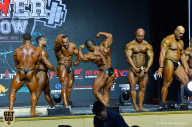Siberian Power Show - 2019