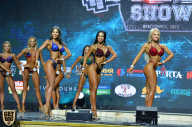 Siberian Power Show - 2019