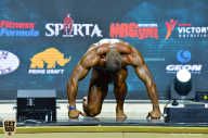 Siberian Power Show - 2019