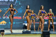 Siberian Power Show - 2019