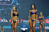 Siberian Power Show - 2019