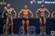 IFBB Чемпионат мира по бодибилдингу - 2019