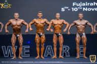 IFBB Чемпионат мира по бодибилдингу - 2019