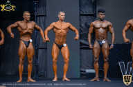 IFBB Чемпионат мира по бодибилдингу - 2019
