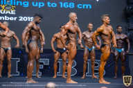 IFBB Чемпионат мира по бодибилдингу - 2019