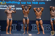 IFBB Чемпионат мира по бодибилдингу - 2019