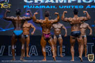 IFBB Чемпионат мира по бодибилдингу - 2019