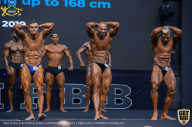 IFBB Чемпионат мира по бодибилдингу - 2019