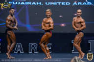 IFBB Чемпионат мира по бодибилдингу - 2019