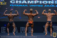 IFBB Чемпионат мира по бодибилдингу - 2019